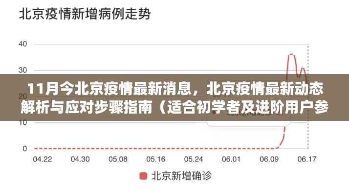 北京疫情最新动态解析与应对指南(初学者与进阶用户必备参考)