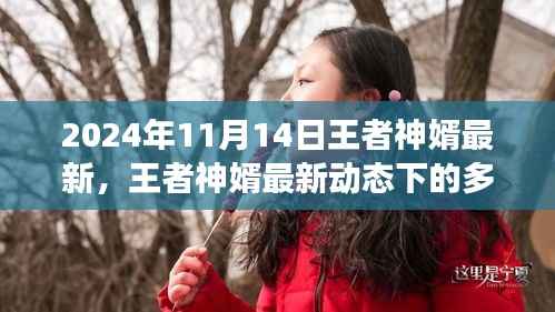 王者神婿最新动态下的多维度视角解读(2024年11月14日最新更新)