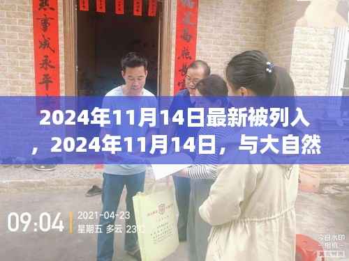 与大自然共舞的日子，一场寻找内心平静的奇妙旅行——纪念新列入日期，2024年11月14日