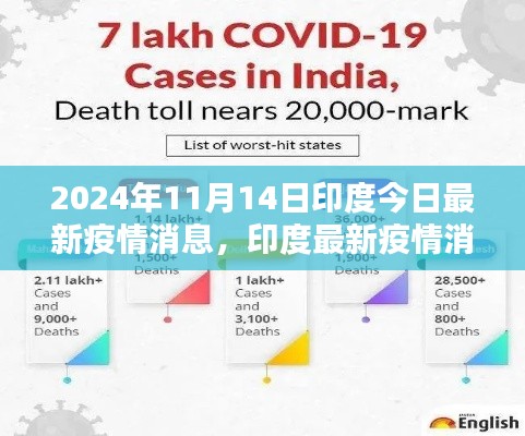 2024年11月14日印度疫情最新消息与要点分析