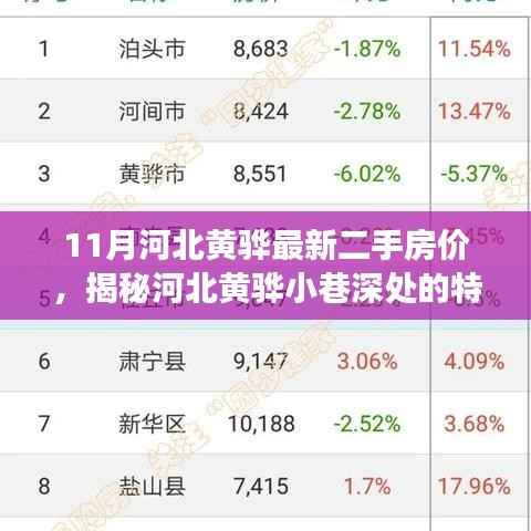 河北黄骅11月最新二手房价揭秘,特色小店与房价背后的故事