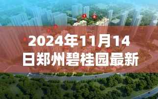 揭秘郑州碧桂园,最新动态全解析(2024年11月14日更新)