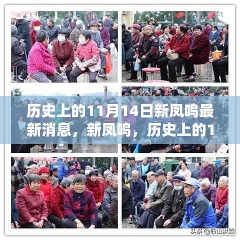 历史上的11月14日新凤鸣重要时刻回顾,最新消息一览