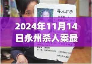 永州杀人案最新进展深度解析,聚焦2024年11月14日事件