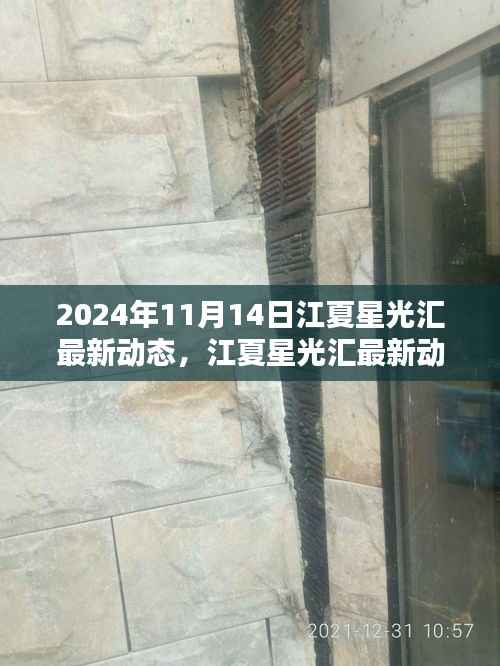 江夏星光汇最新动态，科技前沿的璀璨时刻（2024年11月14日）