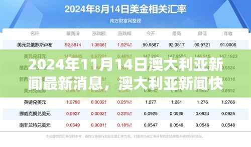 澳大利亚新闻快报,聚焦2024年11月14日最新动态解析