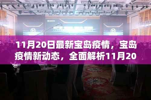 宝岛疫情最新动态解析,11月20日数据全面解读
