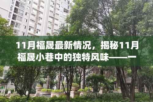 揭秘隐藏式特色小店,福晟小巷的独特风味奇遇之旅(最新11月情况)