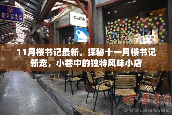探秘十一月楼书记新宠,小巷独特风味小店揭秘