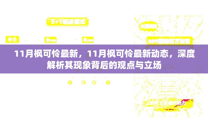 深度解析，11月枫可怜最新动态及其现象背后的观点与立场