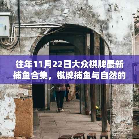 往年11月22日大众棋牌捕鱼合集，与自然共舞，探寻内心平静的奇妙之旅