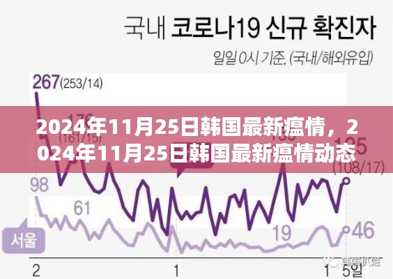 韩国最新疫情动态报告,2024年11月25日的最新分析与观察