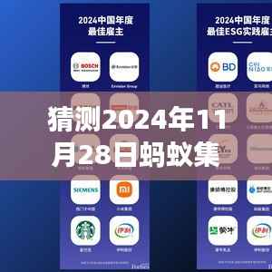 蚂蚁集团投诉背后的学习与成长之旅，驾驭未来的力量，揭秘2024年11月28日最新投诉事件