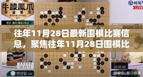 往年11月28日围棋比赛回顾,策略与观点聚焦讨论