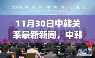 中韩关系最新动态解读,聚焦11月30日重要新闻涉政问题解析