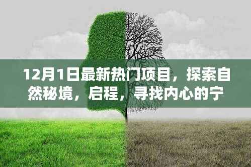 探索自然秘境，最新热门项目的启示与内心宁静之旅