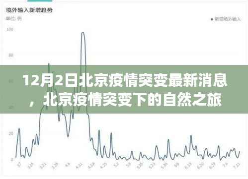 北京疫情突变下的自然之旅，寻找内心的宁静与平和