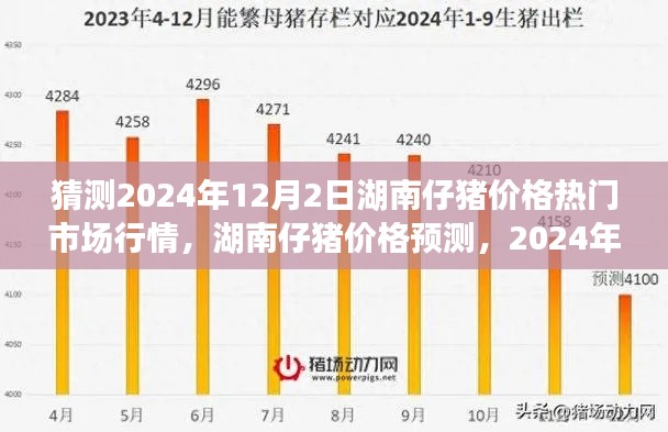 2024年湖南仔猪价格预测及市场行情展望,12月2日的热门趋势分析
