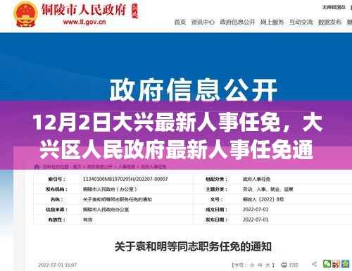 大兴区人民政府人事任免通知，最新人事调整动态发布（12月2日）
