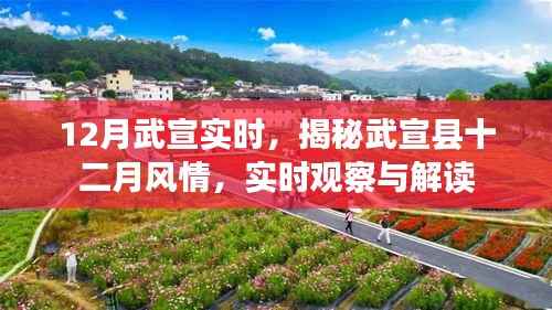 揭秘武宣县十二月风情，实时观察与解读