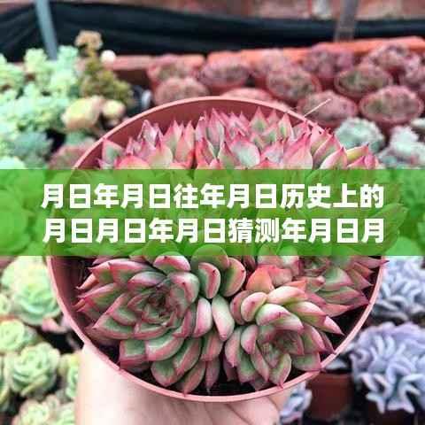 追寻月影之下的宁静之旅,保定62路车实时查看与心灵自然美景的邂逅