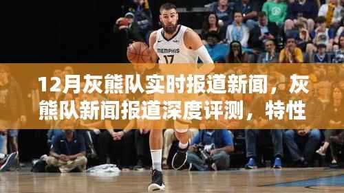 灰熊队深度报道，特性、体验、竞品对比及用户分析，12月最新新闻报道