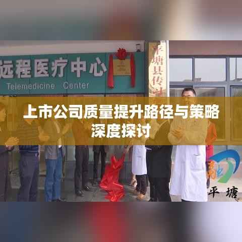 上市公司质量提升路径与策略深度探讨