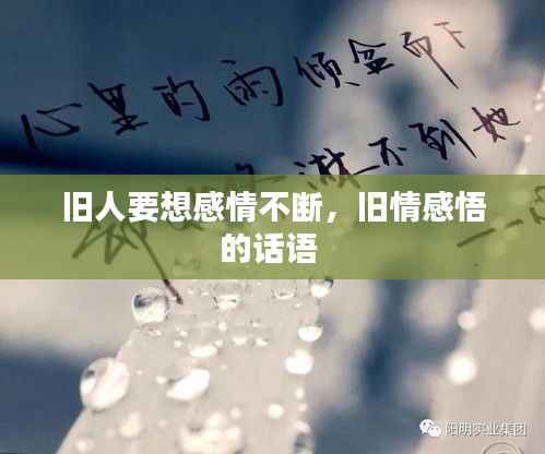 旧人要想感情不断,旧情感悟的话语
