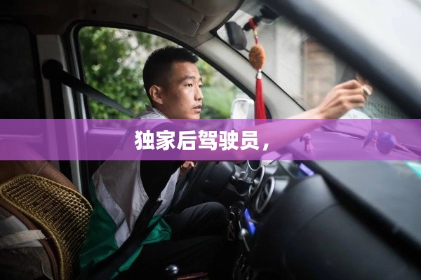 独家后驾驶员,