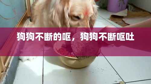 狗狗不断的呕，狗狗不断呕吐 