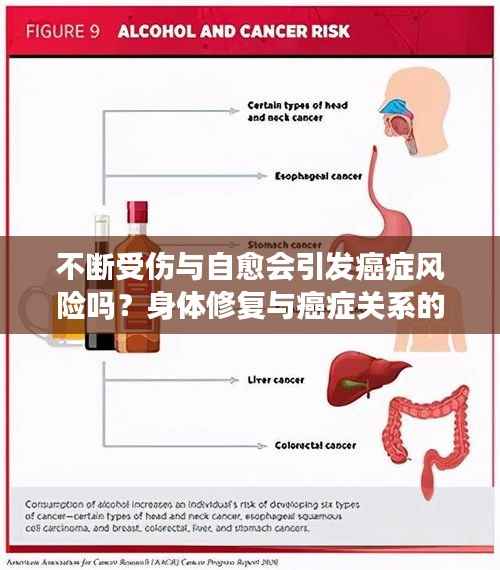不断受伤与自愈会引发癌症风险吗?身体修复与癌症关系的深度解析。