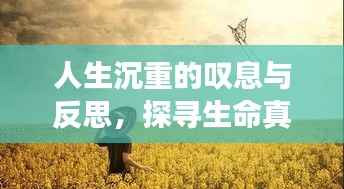 人生沉重的叹息与反思，探寻生命真谛