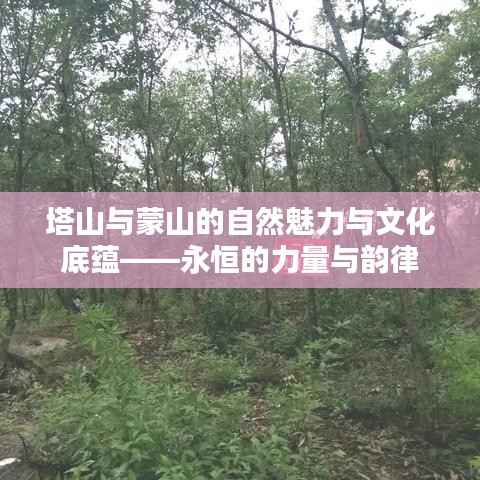 塔山与蒙山的自然魅力与文化底蕴——永恒的力量与韵律