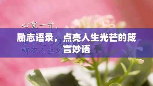 励志语录，点亮人生光芒的箴言妙语