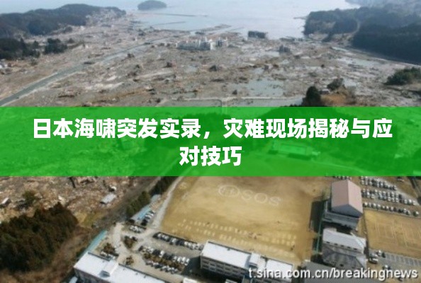 日本海啸突发实录,灾难现场揭秘与应对技巧