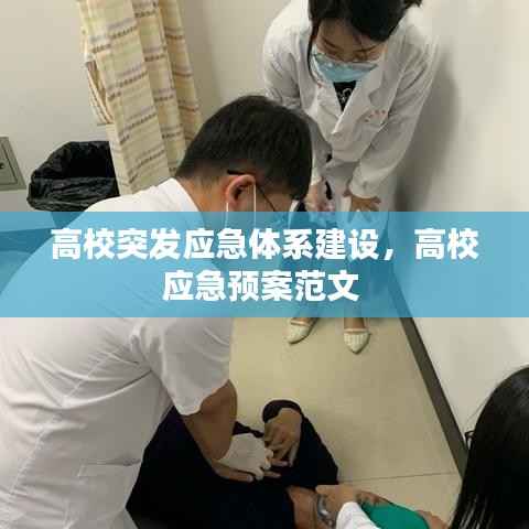 高校突发应急体系建设，高校应急预案范文 