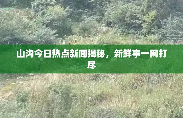 山沟今日热点新闻揭秘,新鲜事一网打尽