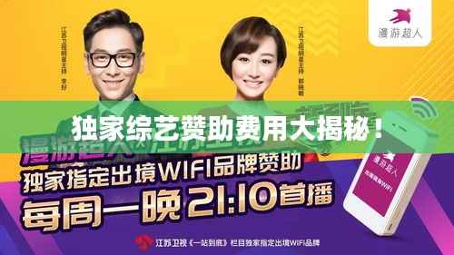 独家综艺赞助费用大揭秘！