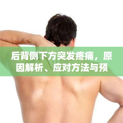 后背侧下方突发疼痛，原因解析、应对方法与预防措施
