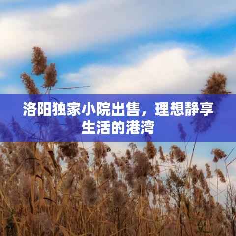 洛阳独家小院出售,理想静享生活的港湾