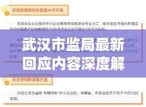 武汉市监局最新回应内容深度解析，权威声音，公众关注焦点解读