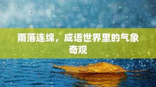 雨落连绵,成语世界里的气象奇观