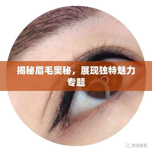 揭秘眉毛奥秘,展现独特魅力专题