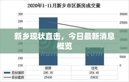 新乡现状直击,今日最新消息概览
