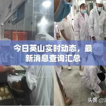 今日英山实时动态,最新消息查询汇总