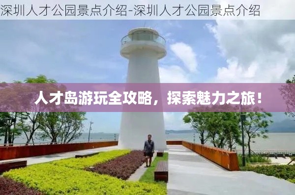 人才岛游玩全攻略，探索魅力之旅！