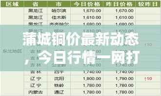 蒲城铜价最新动态，今日行情一网打尽！