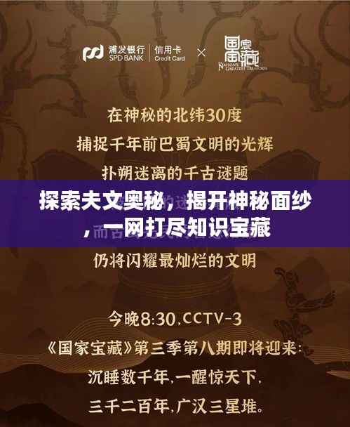 探索夫文奥秘，揭开神秘面纱，一网打尽知识宝藏