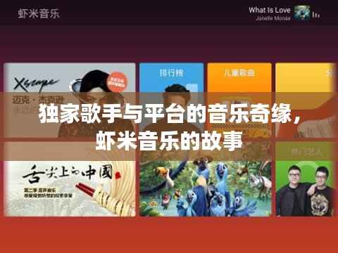 独家歌手与平台的音乐奇缘，虾米音乐的故事