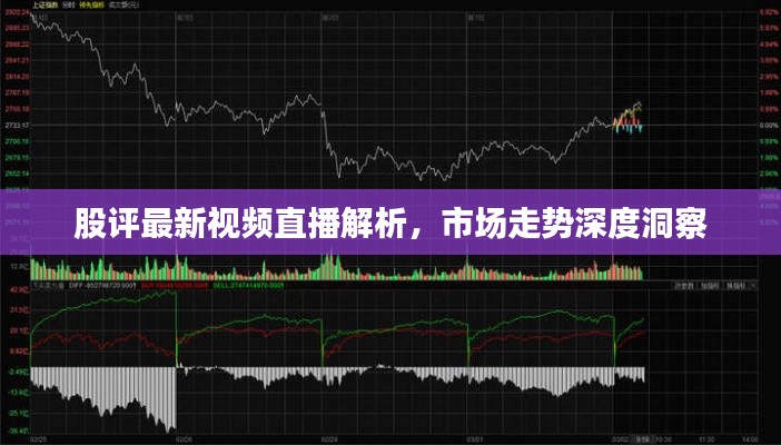 股评最新视频直播解析,市场走势深度洞察